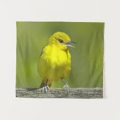 Orchard Oriole - Original Foto Wandteppich (Vorderseite (Horizontal))