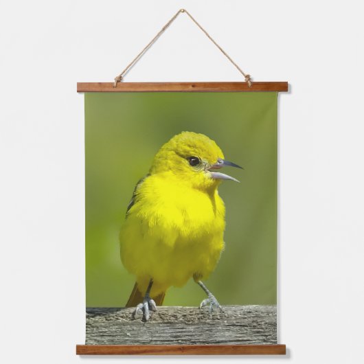 Orchard Oriole - Original Foto Wandteppich Mit Holzrahmen (Vorderseite)