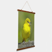 Orchard Oriole - Original Foto Wandteppich Mit Holzrahmen (Gewinkelt)