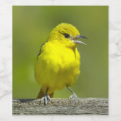 Orchard Oriole - Original Foto Weinetikett (Einzelnes Label)