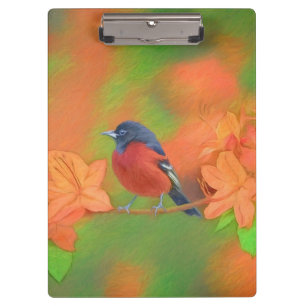 Orchard Oriole Songbird Malerei Original Bird Art Klemmbrett