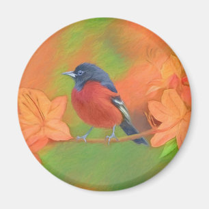 Orchard Oriole Songbird Malerei Original Bird Art Magnet
