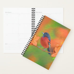 Orchard Oriole Songbird Malerei Original Bird Art Planer