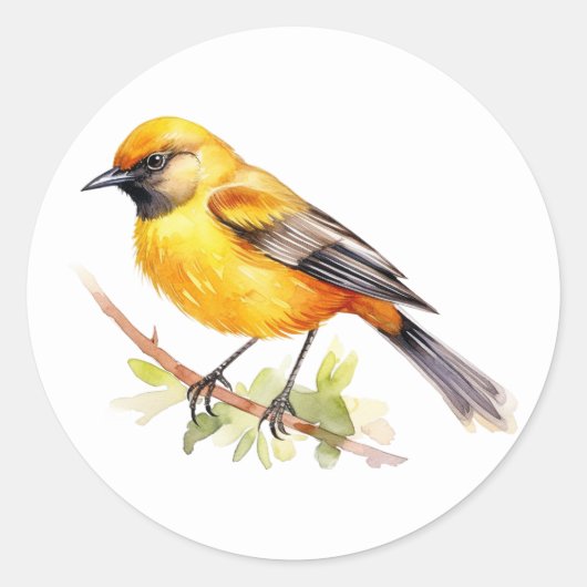 Orchard Oriole Songbird Stickers (Vorderseite)