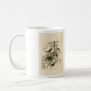 Orchard Oriole von Audubons Vögeln von Amerika Kaffeetasse