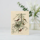 Orchard Oriole von Audubons Vögeln von Amerika Postkarte (Stehend Vorderseite)