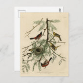 Orchard Oriole von Audubons Vögeln von Amerika Postkarte (Vorne/Hinten)