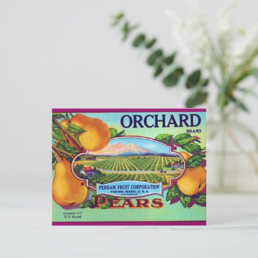 Orchard Pears Postkarte (Stehend Vorderseite)