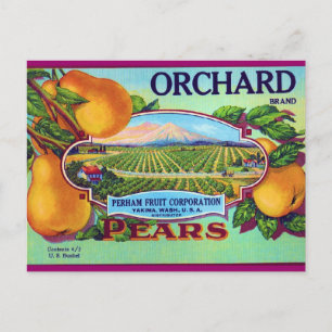 Orchard Pears Postkarte