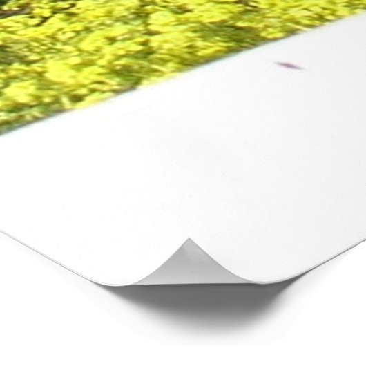 Orchard Senard Fields Poster (Ecke)