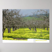 Orchard Senard Fields Poster (Vorne)