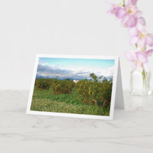 Orchard, Valencia, Spanien Karte