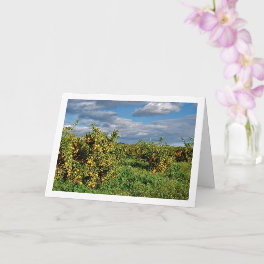 Orchard, Valencia, Spanien Karte (Orchidee)