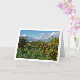 Orchard, Valencia, Spanien Karte