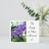 Orchard Violet Postkarte (Stehend Vorderseite)