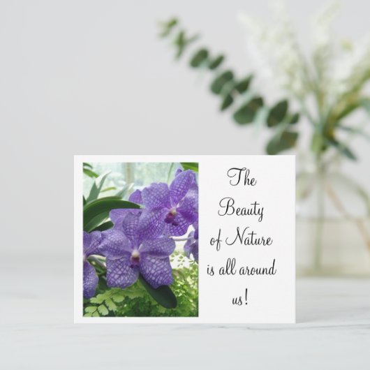 Orchard Violet Postkarte (Stehend Vorderseite)