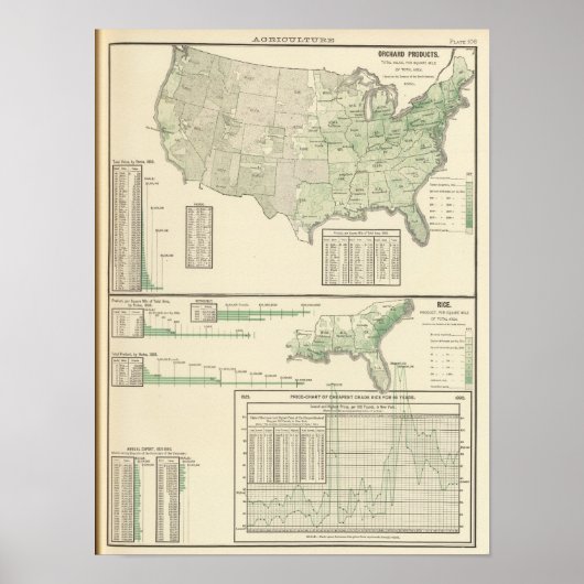 Orchesterzeugnisse und Reis Poster (Vorne)