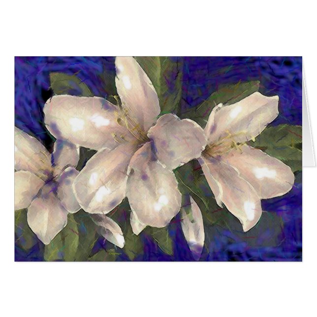 Orchid (Vorderseite (Horizontal))