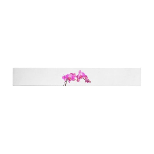 Orchid (Person)