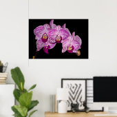 Orchid 1 schwarz poster (Heimbüro)