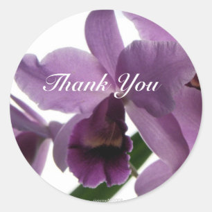 Orchid 1 Vielen Dank/ Stickers