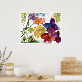 Orchid-40 Poster (Küche)