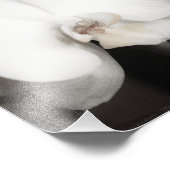 Orchid 8931 fotodruck (Ecke)