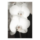 Orchid 8931 fotodruck (Vorne)