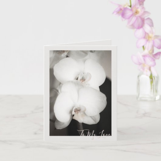 Orchid 8931 karte (Orchidee)