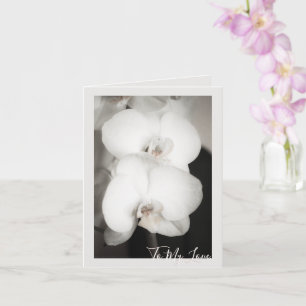 Orchid 8931 karte