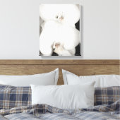 Orchid 8931 leinwanddruck (Insitu (Schlafzimmer))