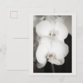 Orchid 8931 postkarte (Vorne/Hinten)