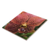 Orchid am Morgen Fliese (Seite)