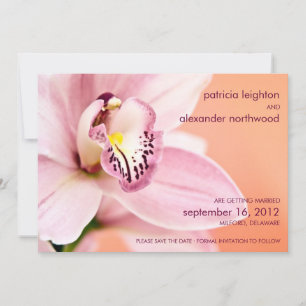 Orchid Ankündigung Datum freihalten