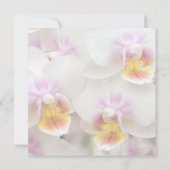 Orchid Ankündigung Datum freihalten (Rückseite)