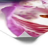 Orchid Apparate Poster (Ecke)
