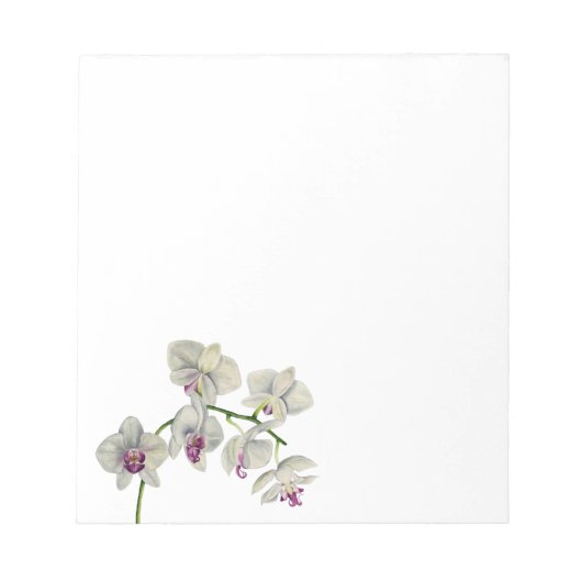 Orchid-Aquarellmalerei Notizblock (Vorderseite)