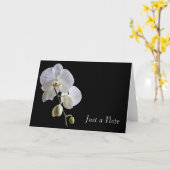 Orchid auf Black Just a Note Card Karte (Gelbe Blume)