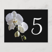 Orchid auf schwarzen Tischnummern (Rückseite)