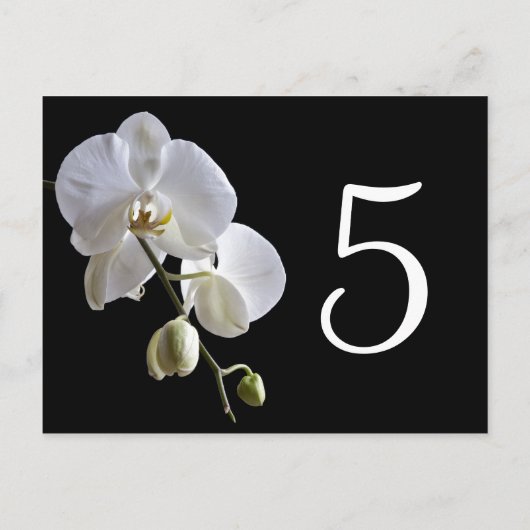 Orchid auf schwarzen Tischnummern (Rückseite)