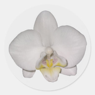 Orchid-Aufkleber Runder Aufkleber