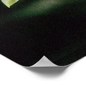 Orchid Beallara 'Tahoma Glacier' Poster (Ecke)