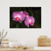 Orchid - Besser im Set Poster (Küche)