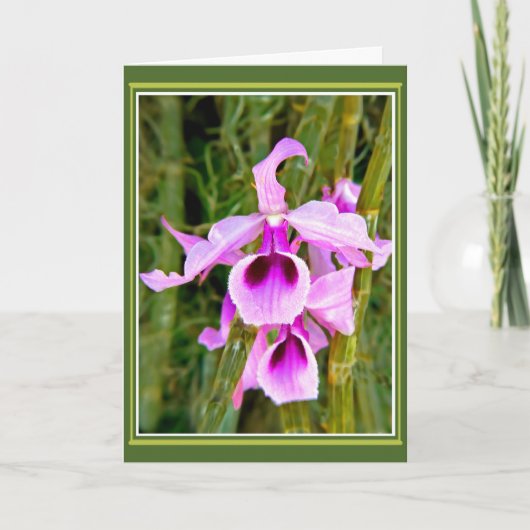 Orchid Birthday Karte (Vorderseite)