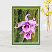 Orchid Birthday Karte (Gelbe Blume)