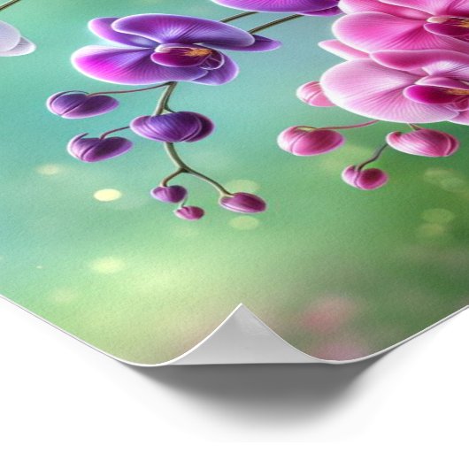 Orchid Blister Poster (Ecke)