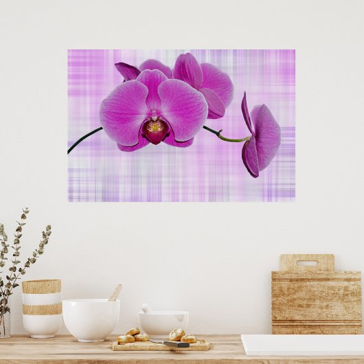 Orchid Blooms Poster (Küche)