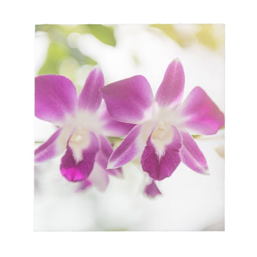 Orchid Blossom Notizblock (Vorderseite)