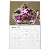 Orchid-Blume 2020-Kalender Kalender (Feb 2027)