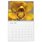 Orchid-Blume 2020-Kalender Kalender (Jan 2027)